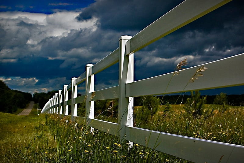 Wide Country, fence, forest, flowers, fields, clouds, sky, HD wallpaper