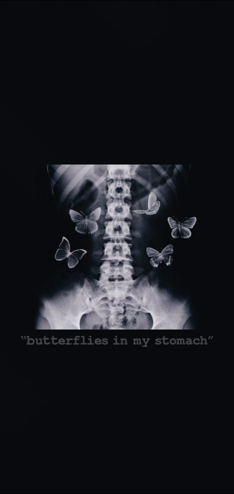 butterfly aesthetic, aesthetic black, black, butterflies in my stomach, quotes, tumblr, verses, HD phone wallpaper