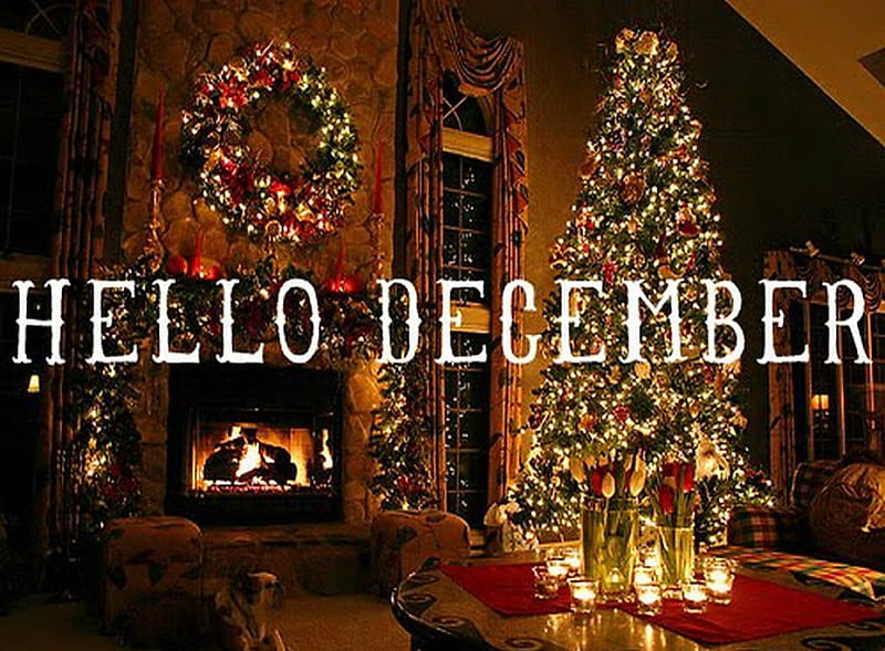 Hello December, Christmas, month, tree, December, lights, HD wallpaper |  Peakpx