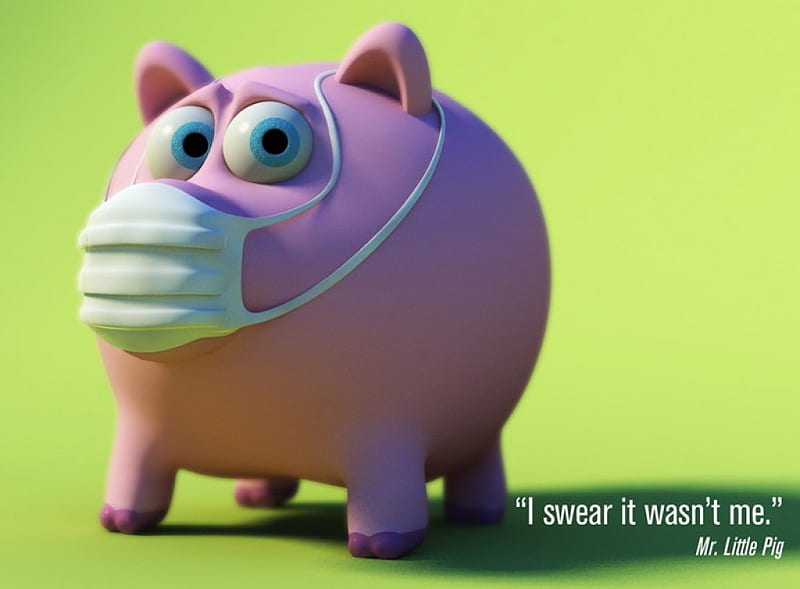 H1N1(swine flu), pig, funny, mask, HD wallpaper