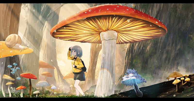 Lexica - A sad and cute mushroom, anime style, cartoon, digital art,  handmade