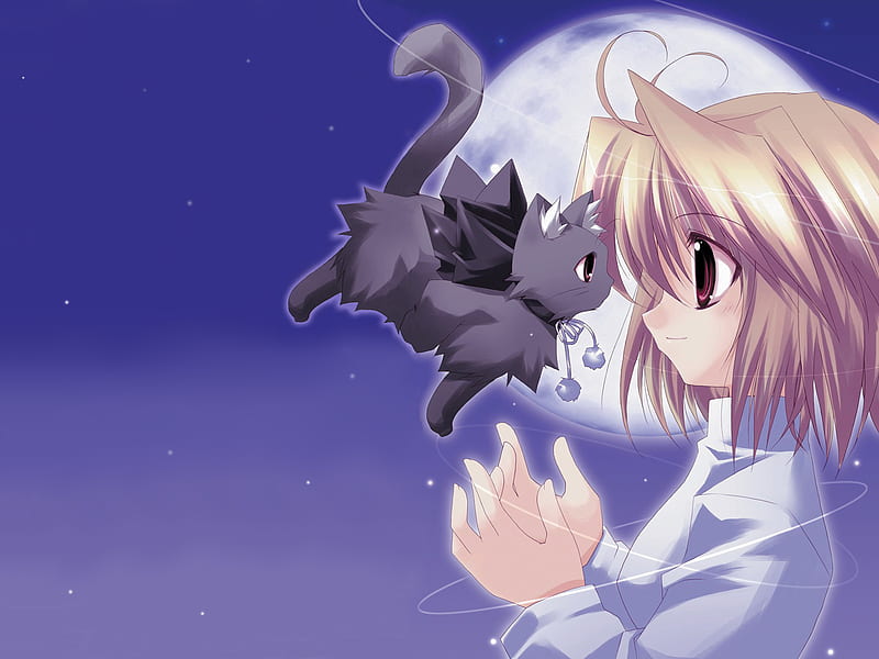 Cat & Tsukihime, moon, cat, tsukihime, anime, HD wallpaper | Peakpx