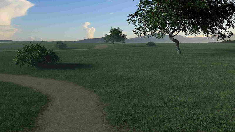 A Grassy Meadow, sfrederick2, 3d, grass, cg, field, meadow, HD wallpaper