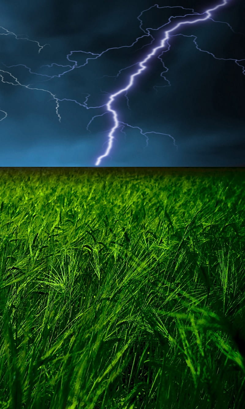 stormy field, clouds, lightening, natural, nature, new, storm, weather, HD phone wallpaper