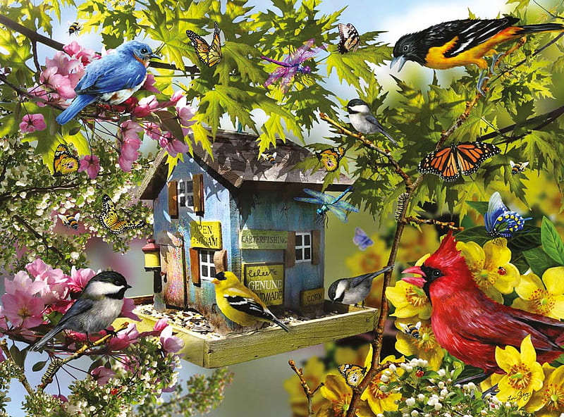 BACKYARD BIRDS, feeder, house, back, birds, yard, HD wallpaper