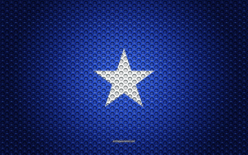 Flag of Somalia creative art, metal mesh texture, Somalia flag, national symbol, Somalia, Africa, flags of African countries, HD wallpaper