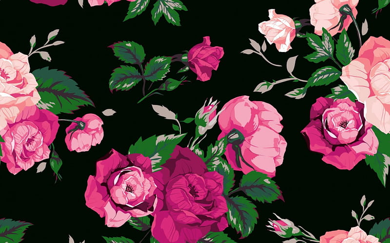 Roses, pattern, green, rose, texture, flower, black, abstract, pink, HD wallpaper
