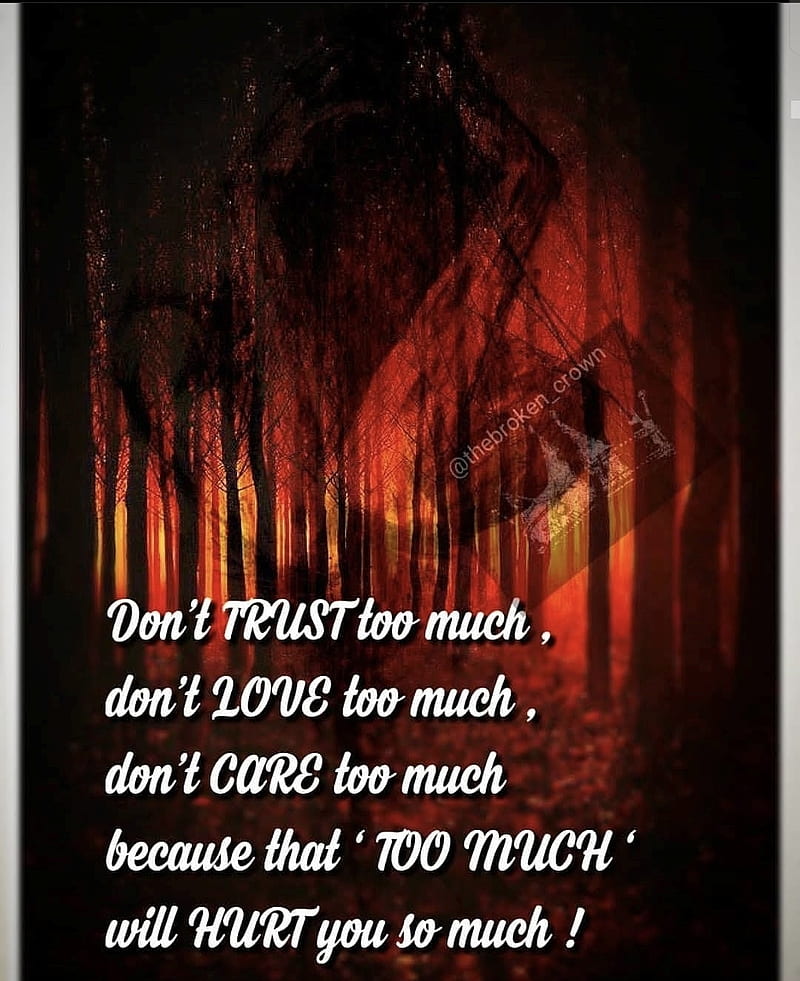 Into the woods, burn, fire, forest, pain, quote, quotes, sad, HD phone wallpaper