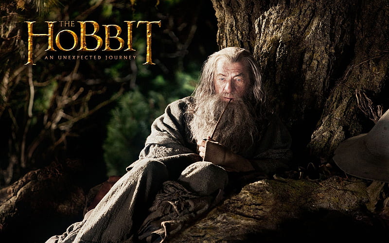 The Hobbit An Unexpected Journey Movie 12, HD wallpaper
