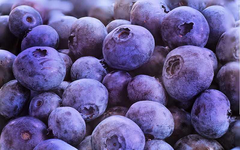 blueberries fresh fruit, berries, close-up, fruits, HD wallpaper