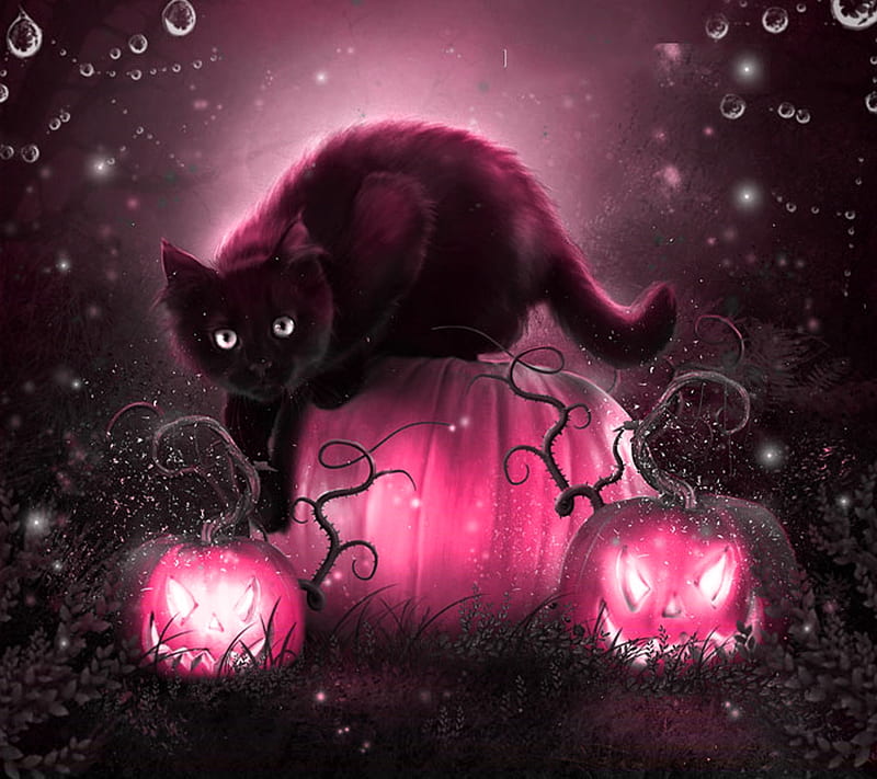 Happy Halloween!, luminos, halloween, black, cat, animal, fantasy, pumpkin, pink, pisica, HD wallpaper