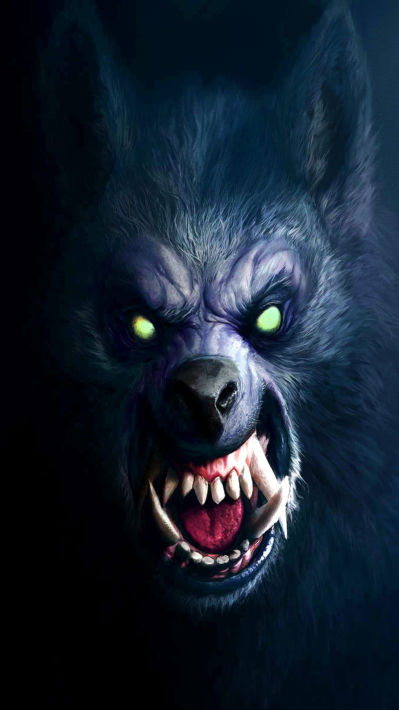 wolf3, loup, wolf, HD phone wallpaper