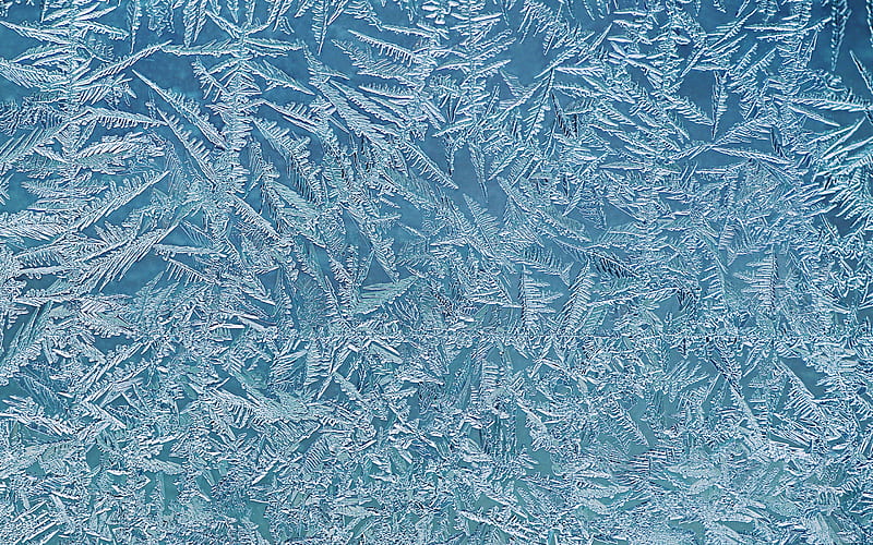 frost pattern texture, ice texture, winter background, winter texture, ice background, frost ornament texture, HD wallpaper