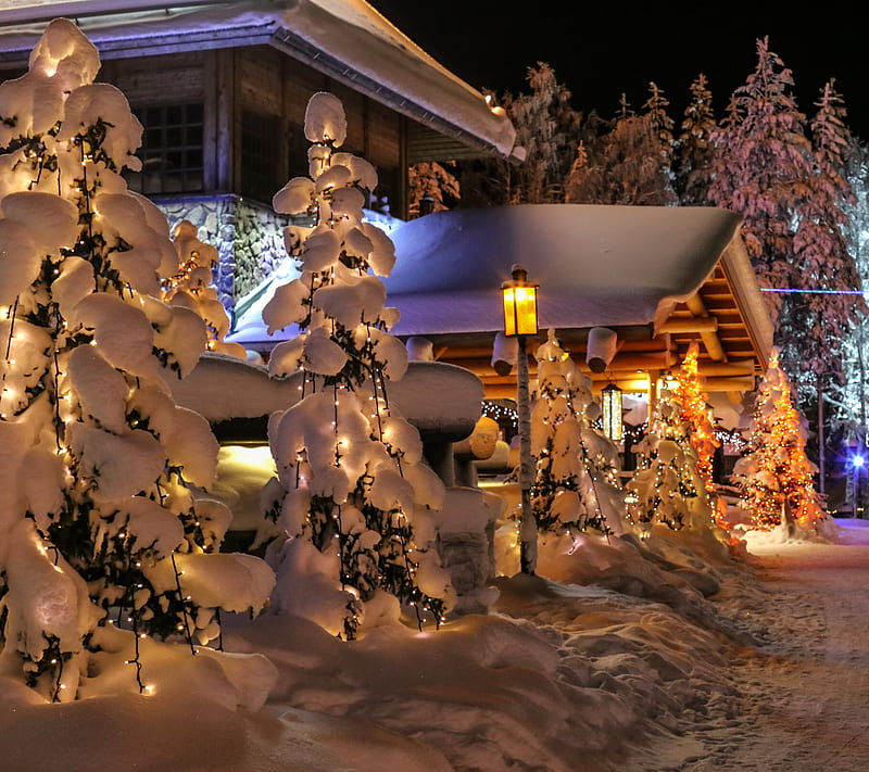 Winter, finland, lapland, nature, snow, spruce, HD wallpaper
