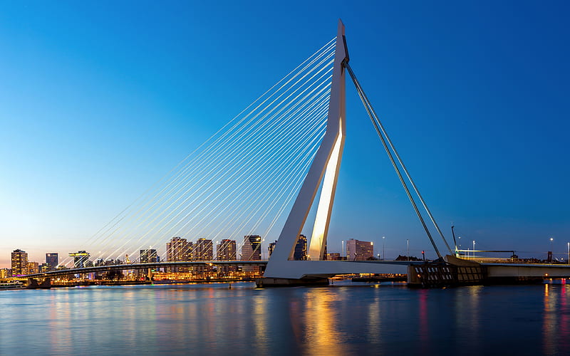 Erasmus Bridge Netherlands 2021 Cities Travel, HD wallpaper