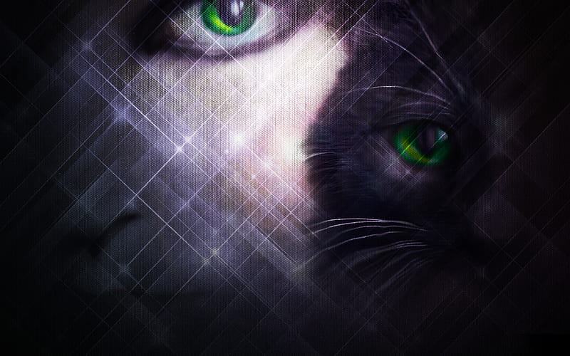 Cats eyes, sparkle, eyes, cats, green, HD wallpaper