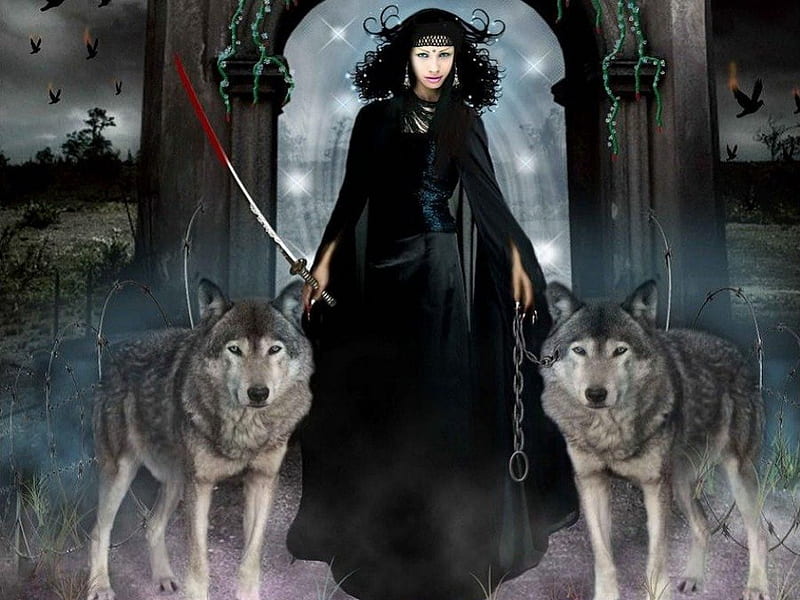 My two Hunter, woman, wolves, sword, hunter, HD wallpaper