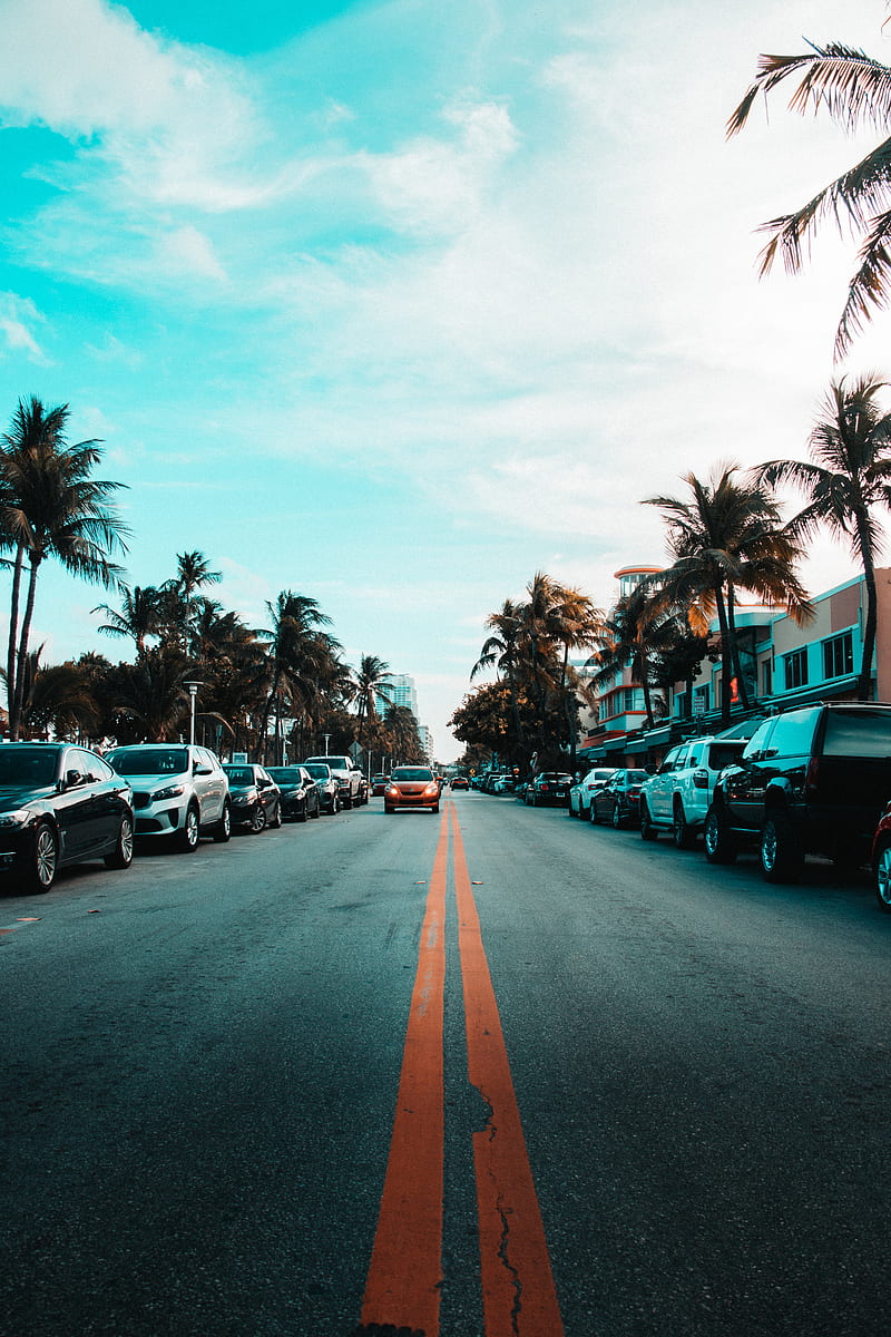 road, markings, palm trees, carros, HD phone wallpaper