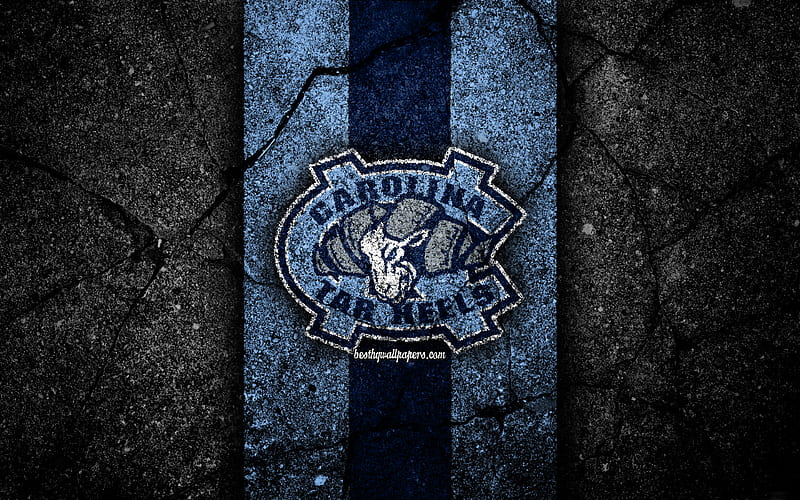 North Carolina Tar Heels american football team, NCAA, blue stone, USA, asphalt texture, american football, North Carolina Tar Heels logo, HD wallpaper