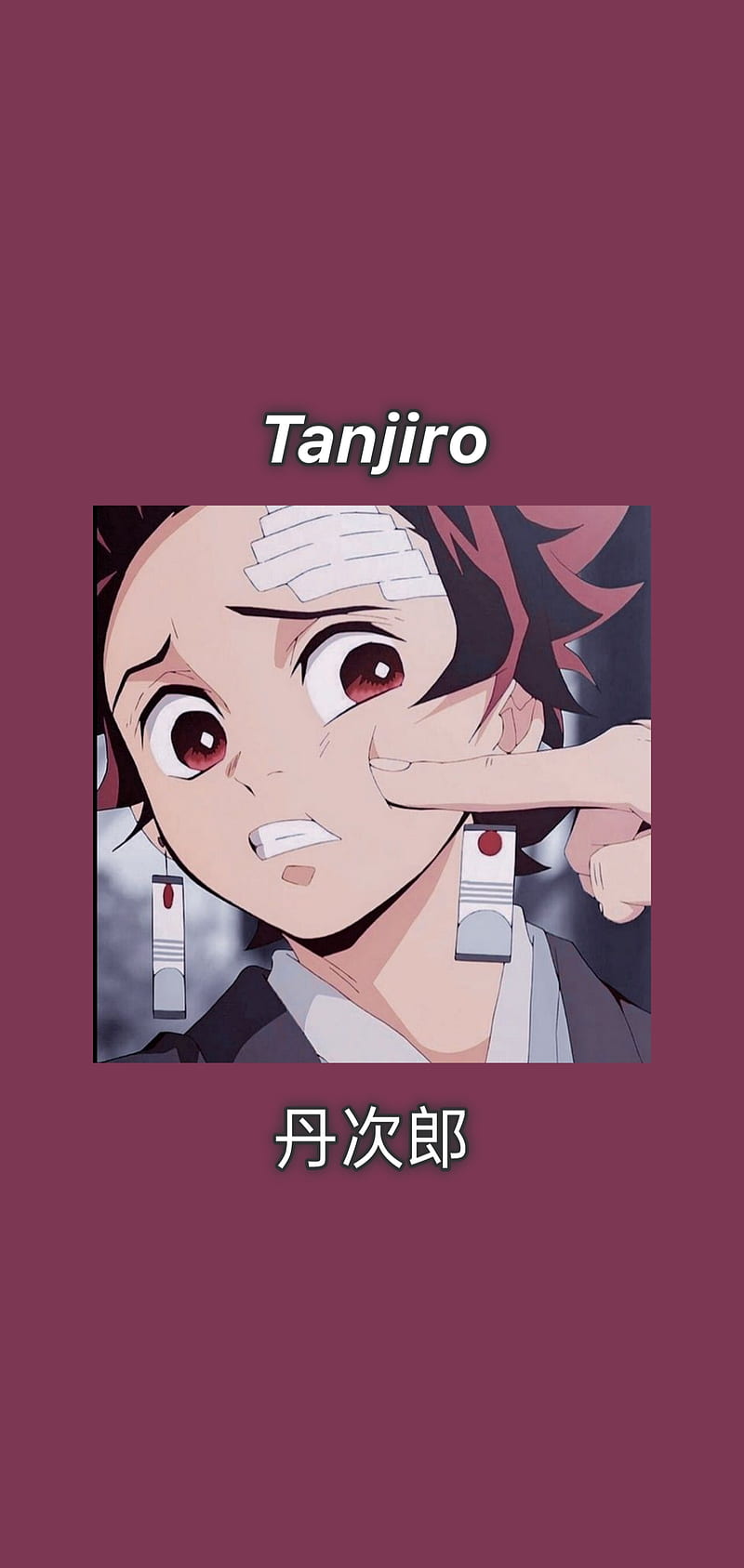 Tanjiro Kamado — Icon  Anime demon, Slayer anime, Aesthetic anime