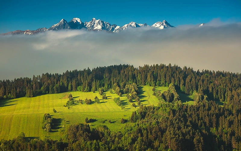 Tatry in Poland, Poland, hill, mountains, Tatry, mist, HD wallpaper