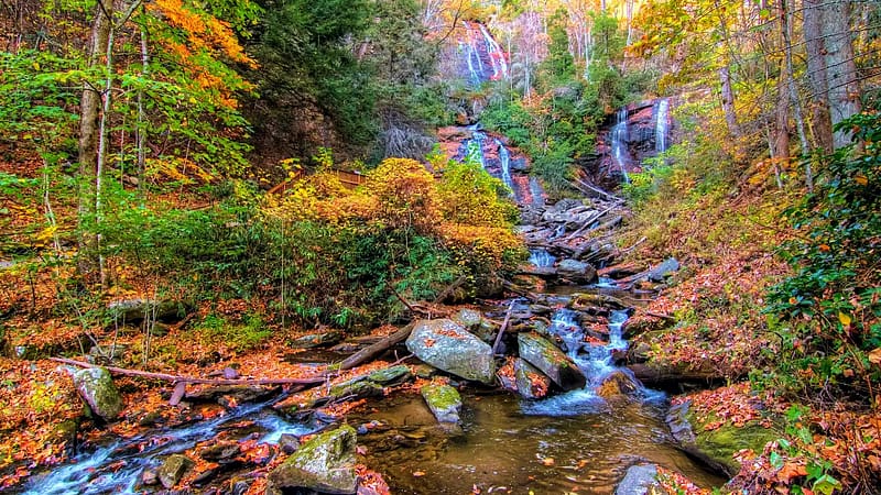 Anna Ruby Falls, Georgia, stones, creek, autumn, landscape, trees, forest, usa, HD wallpaper