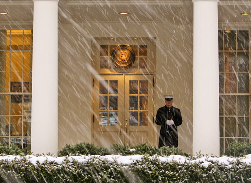 Marine Standing Guard Snowfall, buttons, yellow, president, bushes, door, entrance, cold, city, white house, gold, gloves, marine, green, guard, military, diagonal, us, black, district of columbia, winter, washington dc, windows, snowing, white, HD wallpaper