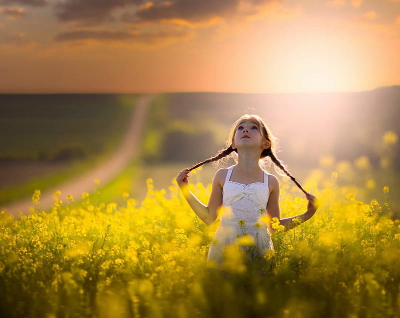 Little girl in a flower field, sun, girl, flowers, spring, road, HD wallpaper