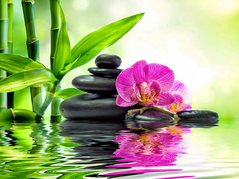 Relaxing spa, relax, bonito, bamboo, still life, stones, water, orchid, spa, reflection, HD wallpaper