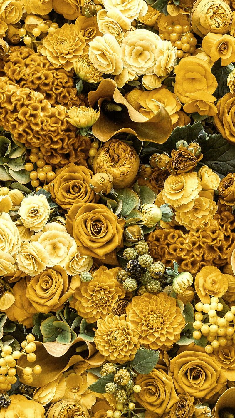 Roses, dhalia, flowers, gingerbread, love, orange, rose, yellow, HD phone wallpaper