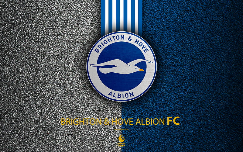 Brighton and Hove Albion FC English football club, leather texture, Premier League, logo, emblem, Brighton and Hove, England, United Kingdom, football, HD wallpaper