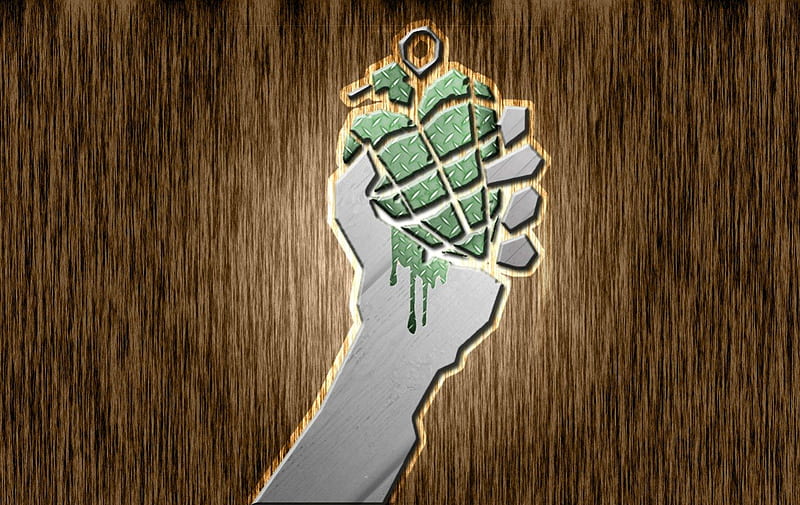 American Idiot Arm-In-Wood, arm, green day, hand-grenade, wood, HD wallpaper