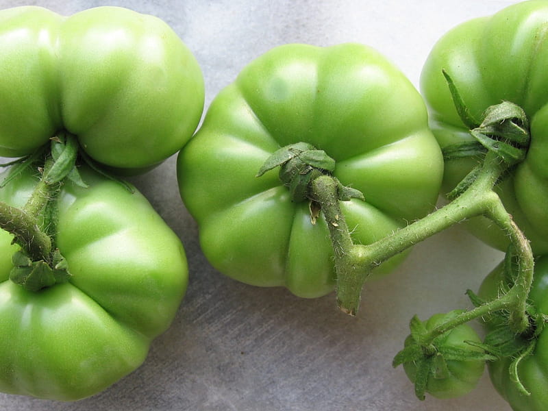 Green Tomato, tomato, green, HD wallpaper