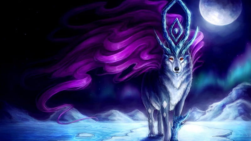 Alpha, wolf, purple, blue, HD wallpaper