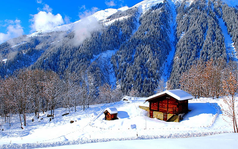 Houses on mountain slope, forest, view, bonito, trees, sky, winter ...