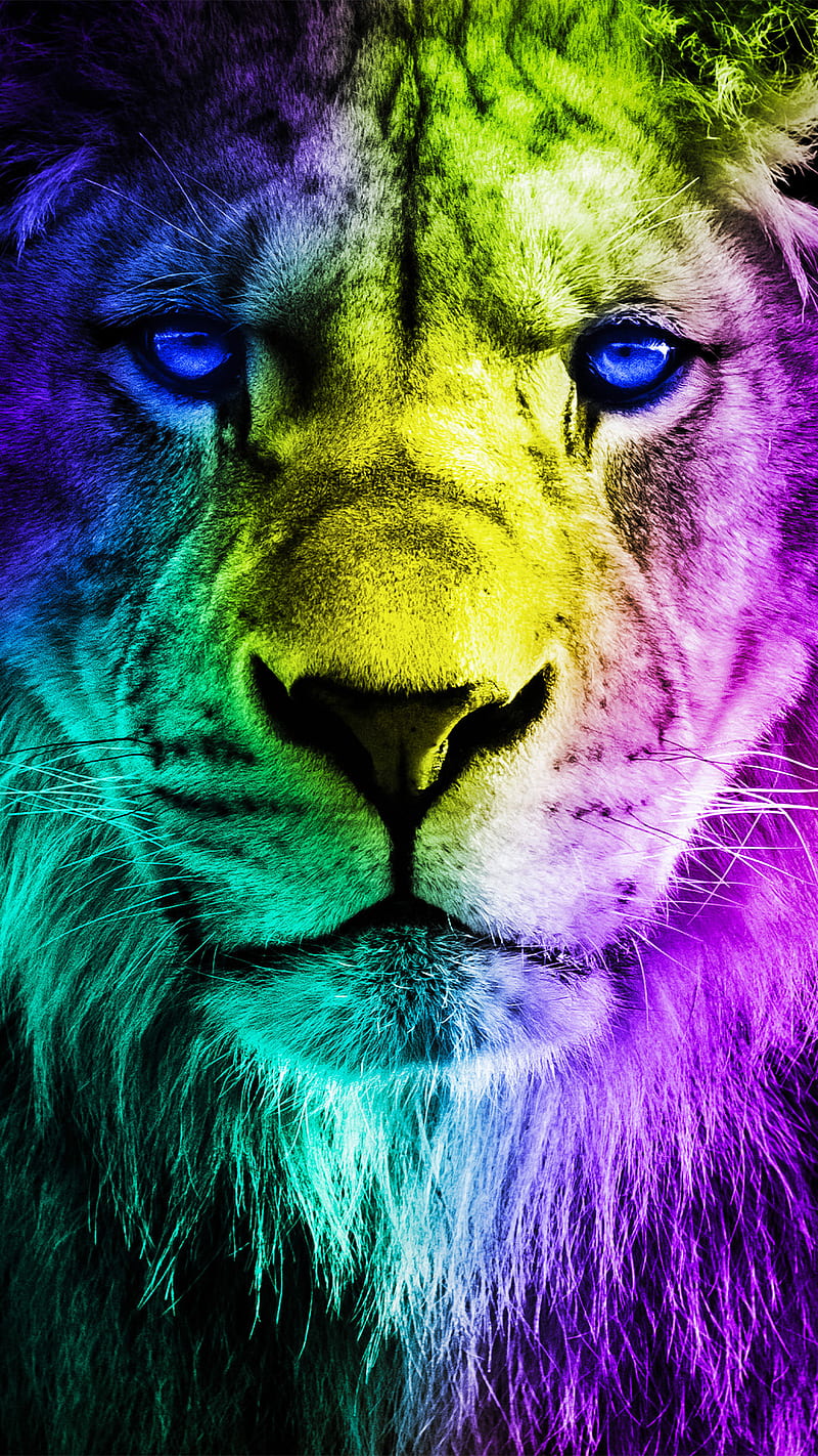 Colorful Lion Portrait 14' Poster by FerraraMedia | Displate