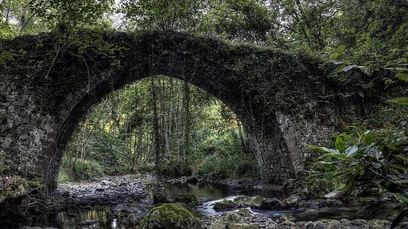 ivy covered old arched stone bridge, forest, stream, rock, bridge, ivy, old, HD wallpaper