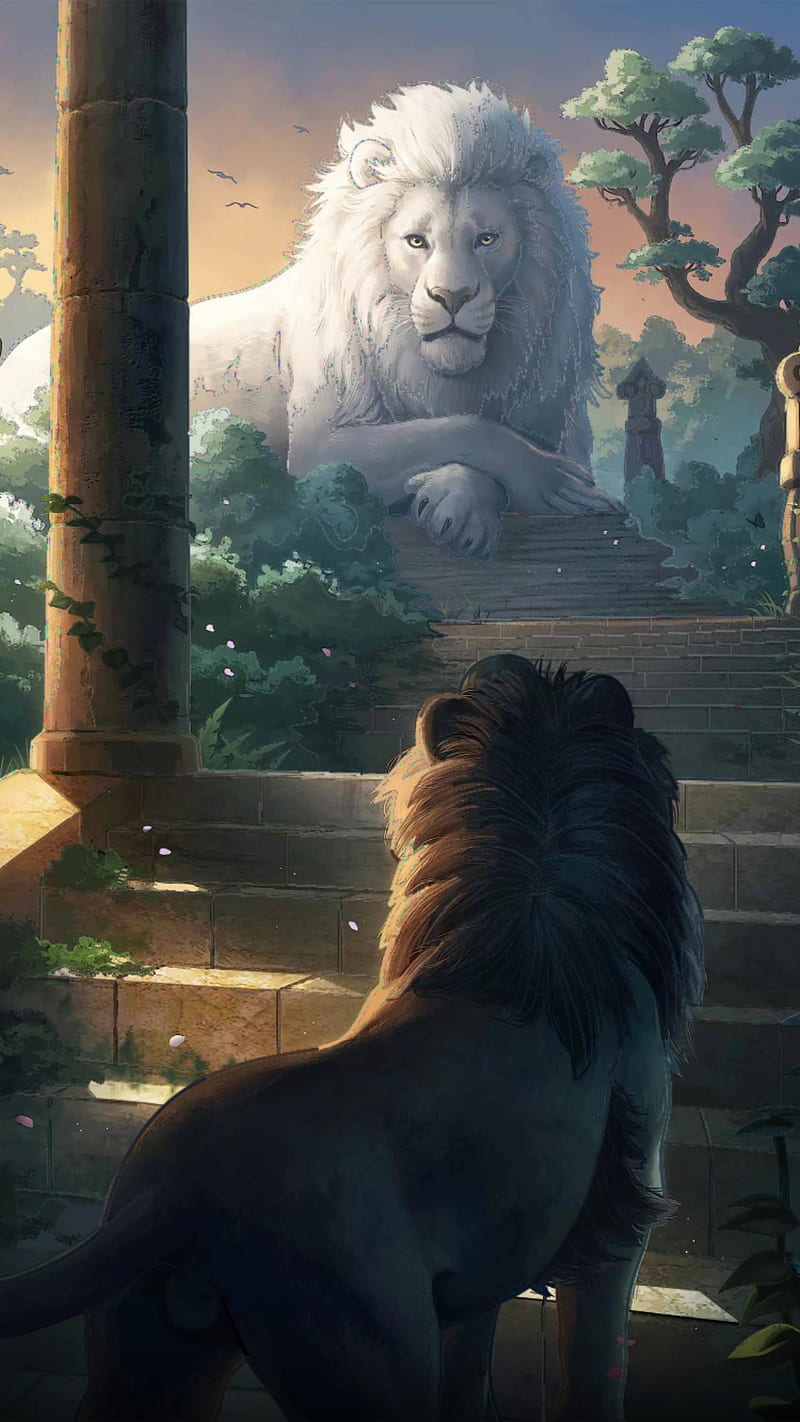 Lion king, lions, white, tiger, HD phone wallpaper