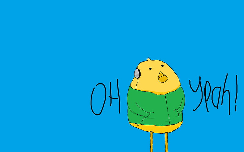 OH YEAH!, words, fun, nice, cool, bird, awesome, simple, funny, yeah, blue, HD wallpaper