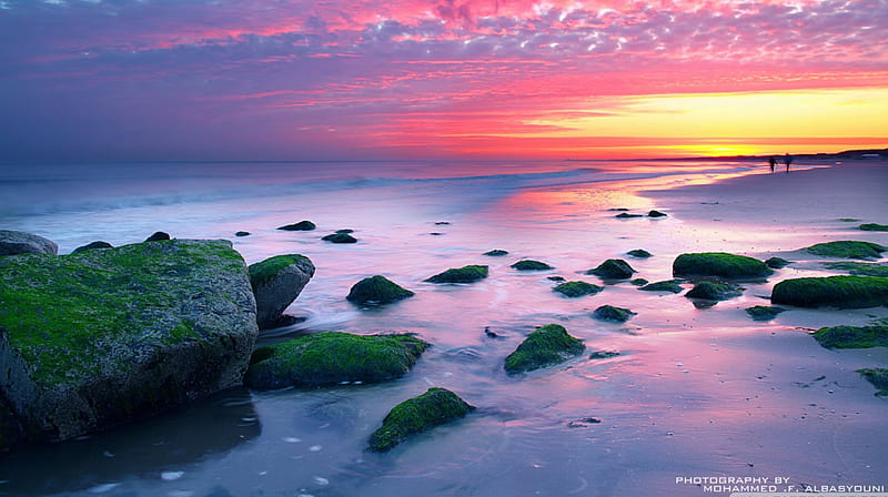 Sunset in Hague, Netherlands, beaches, sunsets nature, Hague, HD wallpaper