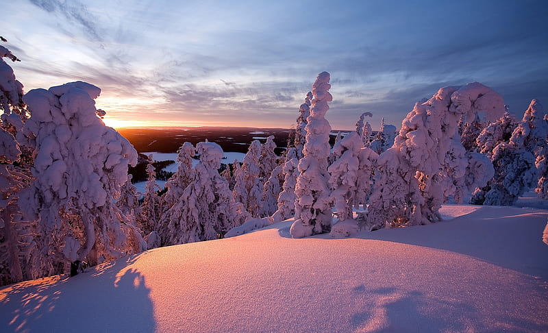 Lapland., lakes, sunset, white, finland, HD wallpaper