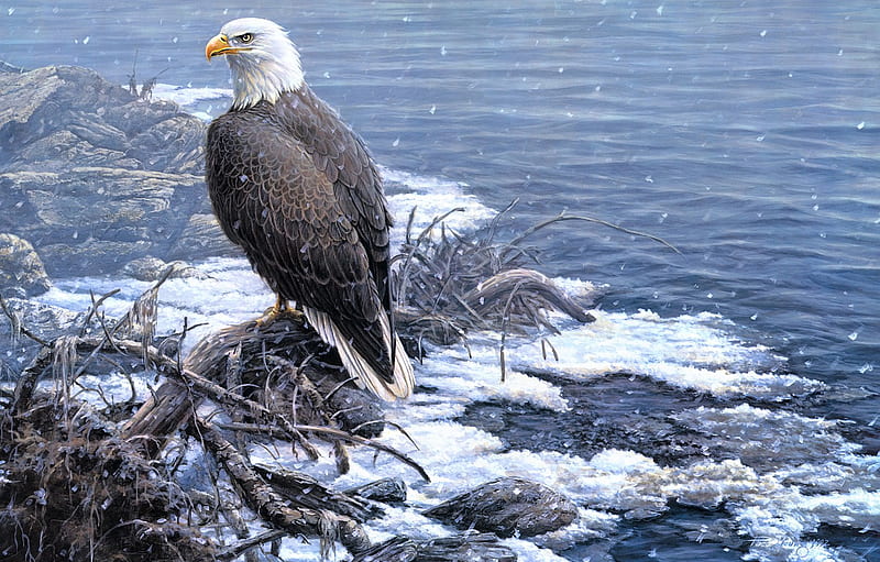 winter, look, snow, branches, nature, bird, eagle, shore, figure, ice, , art, snag, painting, snowfall, pond for , section живопись, HD wallpaper