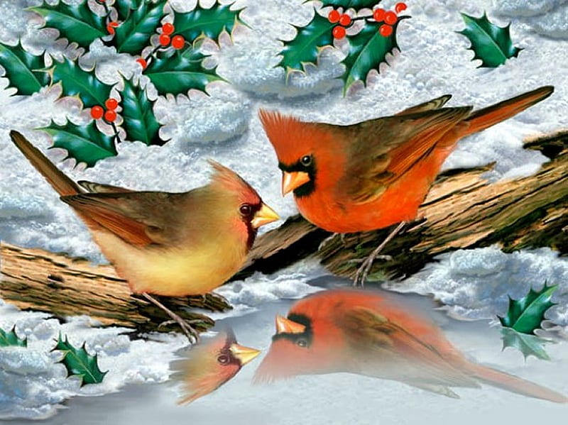 By Howard Robinson, art, bird, christmas, painting, howard robinson, animal, winter, cardinal, HD wallpaper