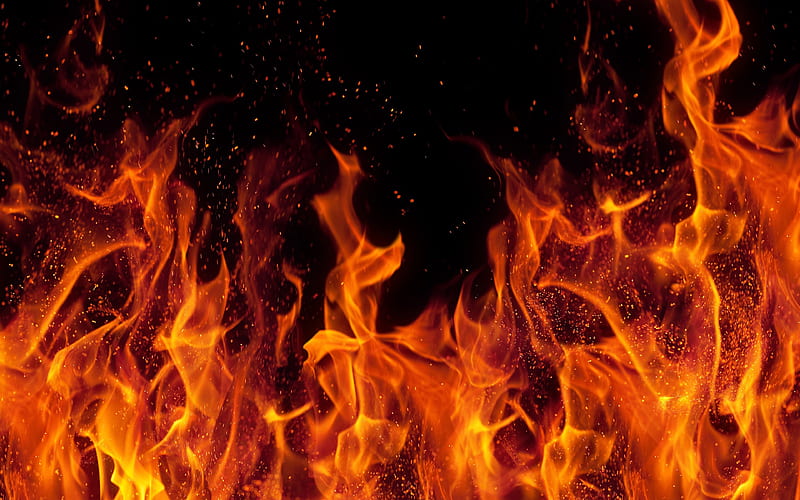 fire flames orange flames, macro, bonfire, flames of fire, orange fire texture, HD wallpaper