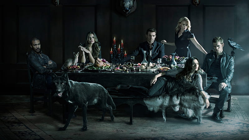 The Originals, Klaus Mikaelson, vampires, CW, Joseph Morgan, witches,  hybrids, HD wallpaper | Peakpx