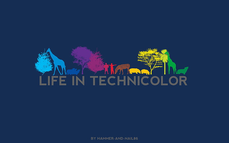 life in technicolor-Design Related, HD wallpaper