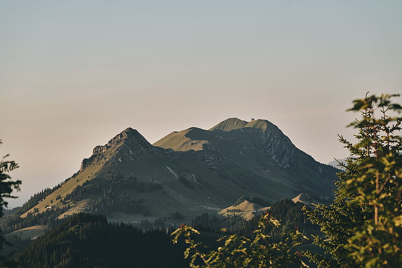 green-leafed trees at the bottom of the mountain during daytime, HD wallpaper