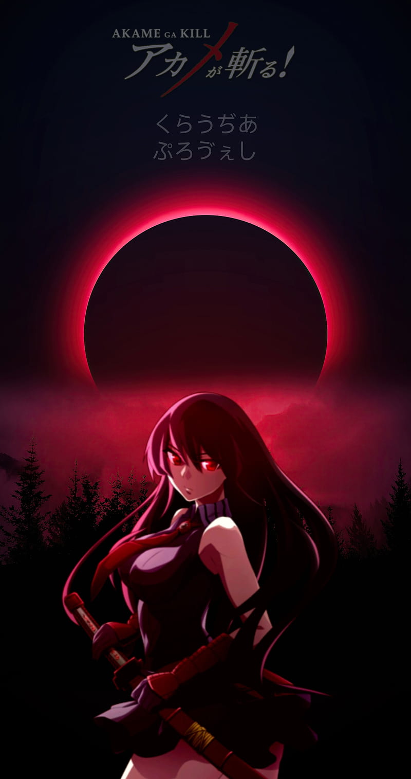 Akame, akame ga kill, moon, night, red, red moon, themes, HD phone wallpaper  | Peakpx