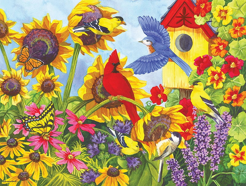 Backyard Beatuys, sun, yard, back, flowers, birds, puzzle, HD wallpaper