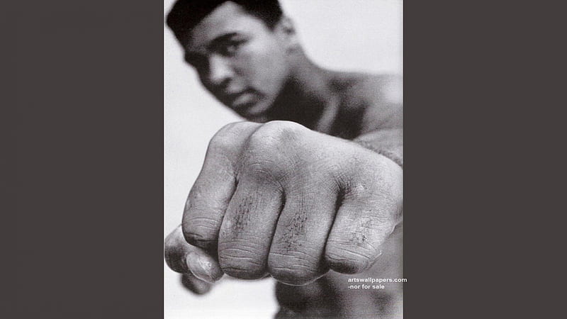 Muhammad Ali, ali, ali frazier, boxing, ali foreman, HD wallpaper